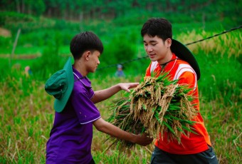 Mùa hè xanh 2025 - Khi yêu thương ở lại