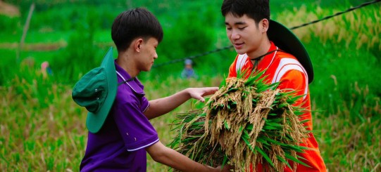 Mùa hè xanh 2025 - Khi yêu thương ở lại