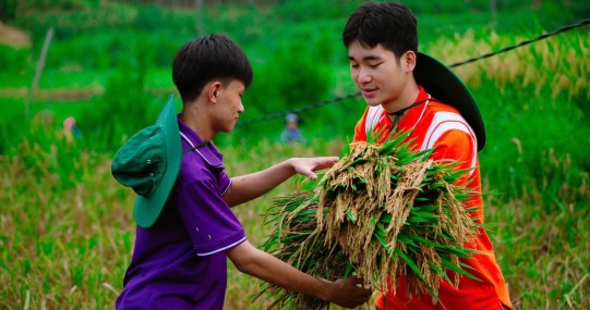 Mùa hè xanh 2025 - Khi yêu thương ở lại